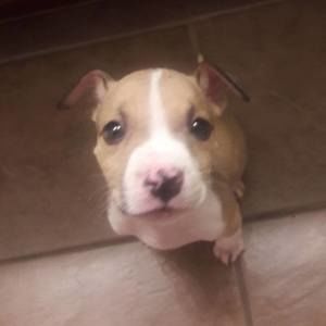 Meet your Posher, Alisha